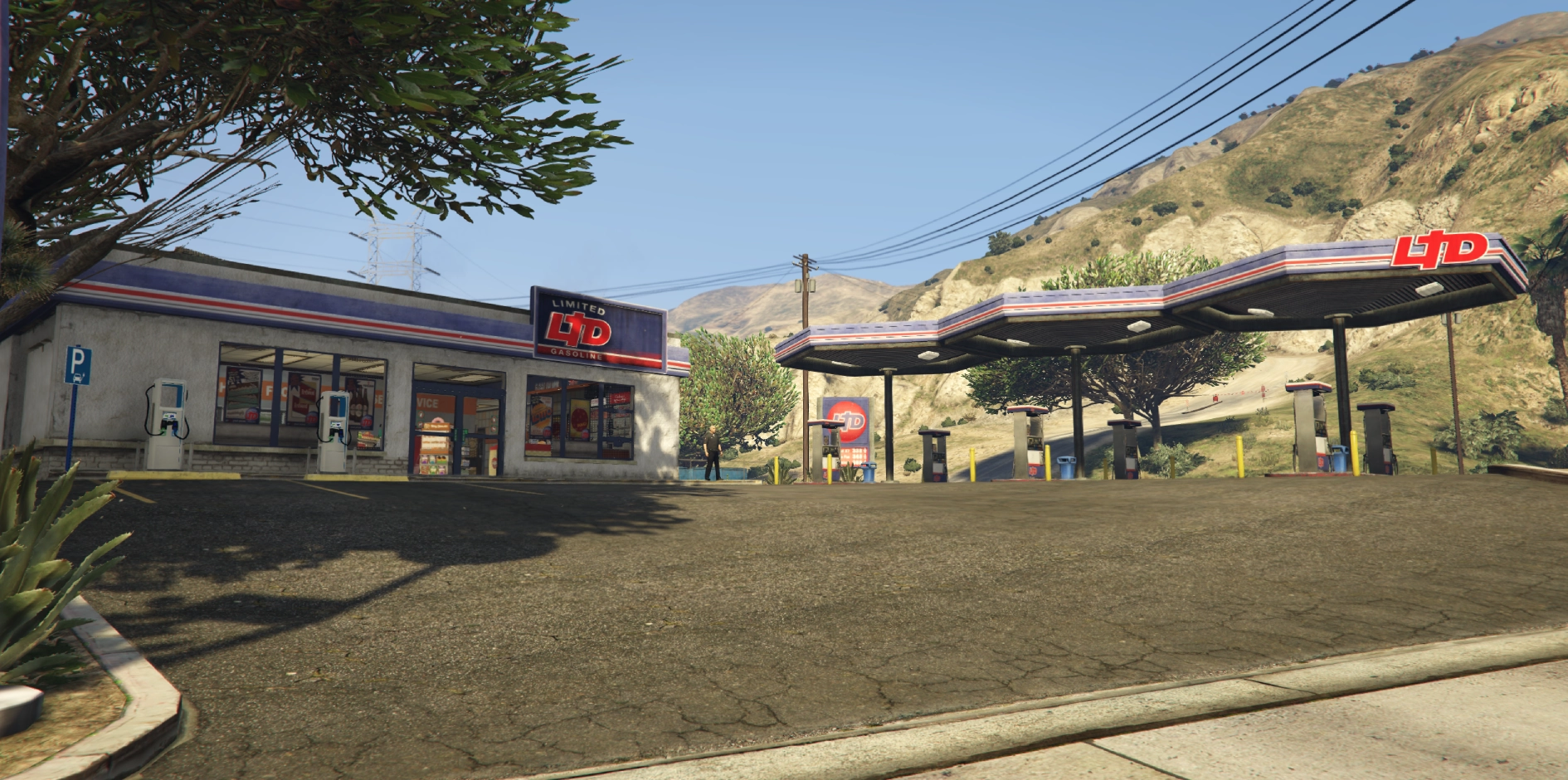 Store: Convenience Store (Mirror Park)