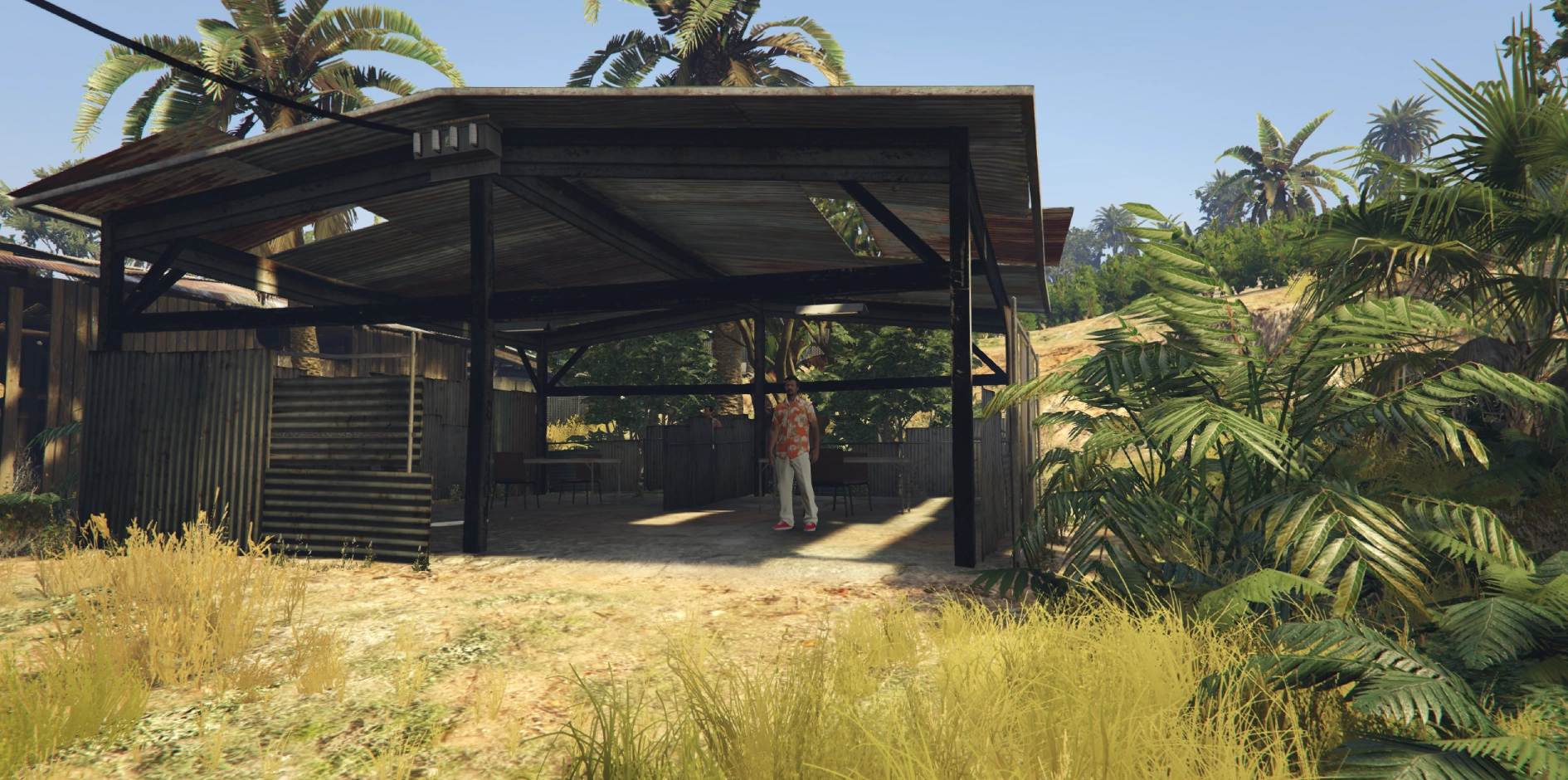 Store: Drug Supplier (Cayo Perico)